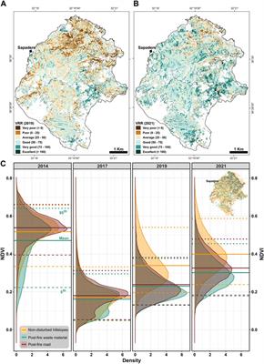 The effect of post-wildfire management practices on vegetation recovery: Insights from the Sapadere fire, Antalya, Türkiye